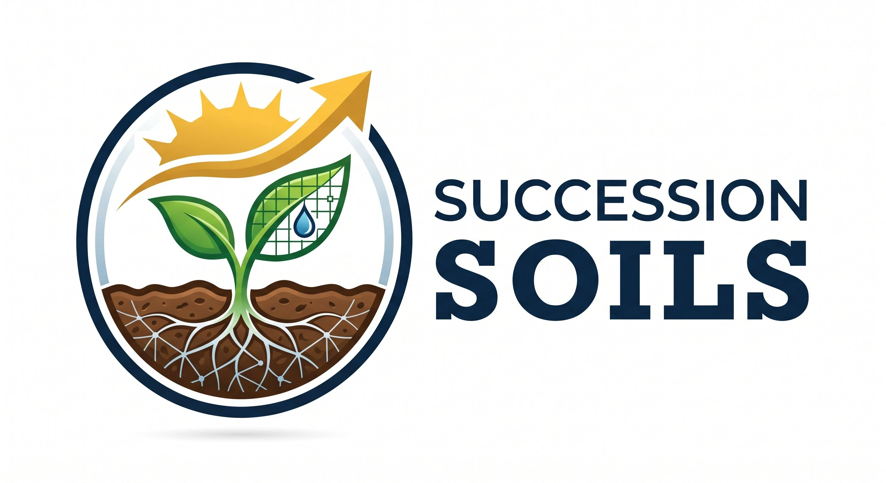 Succession Soils